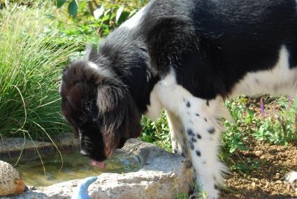 Mmmh, Schmeckt Mmmh, Schmeckt