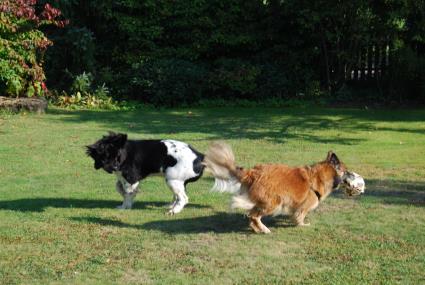 Fußballspielen ist toll! Fußballspielen ist toll!