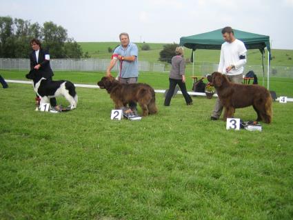 Zwischenklasse Hndin