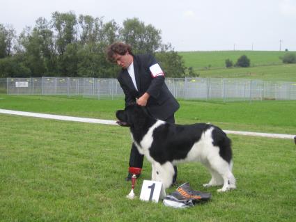 Willow Bear Ashkelon, Zwischenklasse Hndin V1