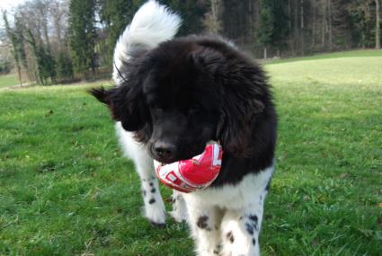 Spielt denn keiner mt mir? Spielt denn keiner mt mir?