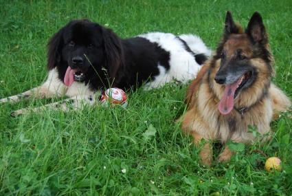 29.05.2008 238 29.05.2008 238