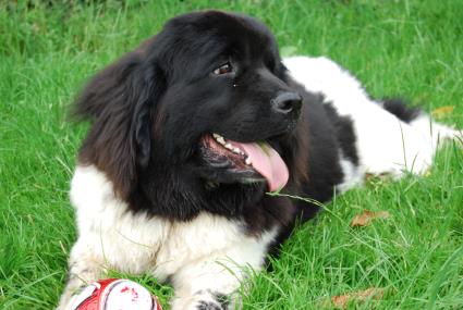 29.05.2008 241 29.05.2008 241