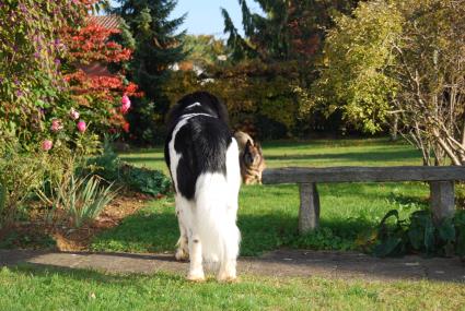 Vor ein paar Tagen war alles noch grün. Komische Welt. Vor ein paar Tagen war alles noch grün. Komische Welt.