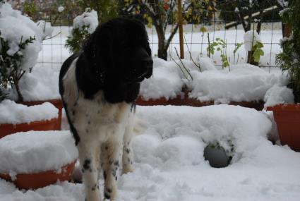 Wow so viel Schnee Wow so viel Schnee