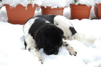 Ob der auch schmeckt? Ob der auch schmeckt?