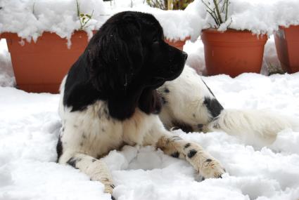 Hallo Oma Mädy. Hallo Oma Mädy.