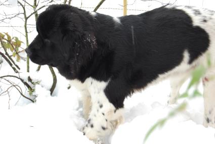 Wünsch euch allen auch so viel Spaß im Schnee. Wünsch euch allen auch so viel Spaß im Schnee.