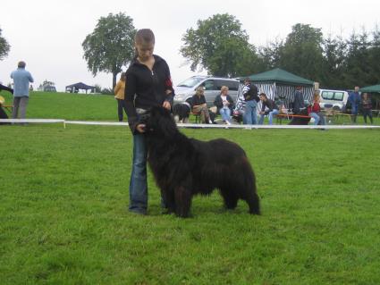 Penny-lane new BlackBear Family`s, Veteranenklasse