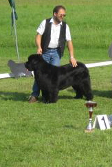 Manni 11.8.07 in Ibigny V1