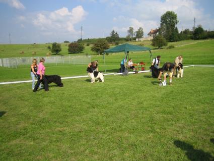 Endausscheidung Rden,