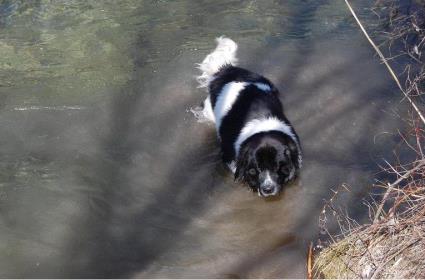 Im Fluss baden ist das Schnste!