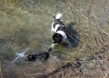 Mit Kumpel macht es noch mehr Spa.
