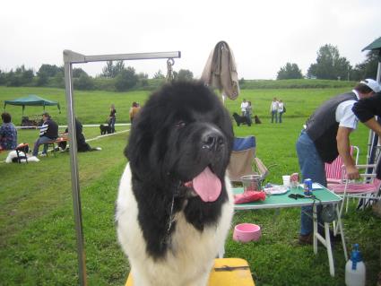 Und wer brstet mich?