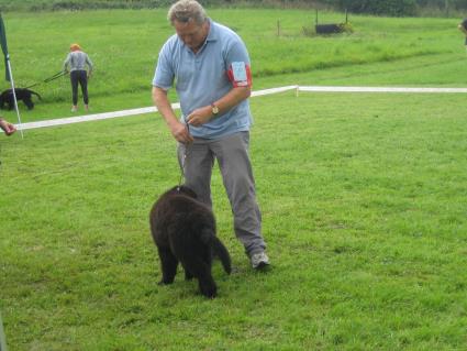 Training fr das sptere Gewinnen.