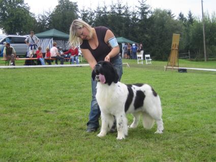 Bring me Gold de l`Illiade et l`Odysse -Jugendklasse V1