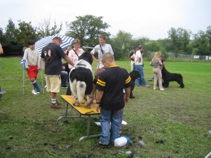 Grooming nicht nur fr die Jngsten.