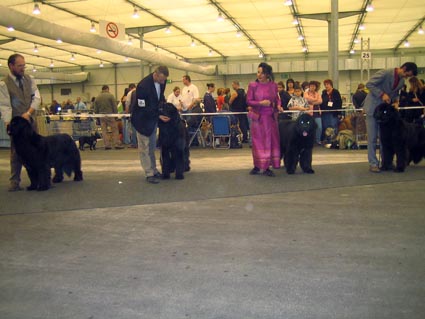 Offene Klasse Manni V4