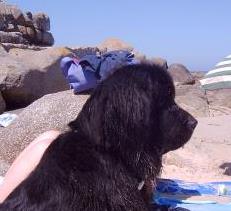 Hallo ich bin Klea vom Badenser Land