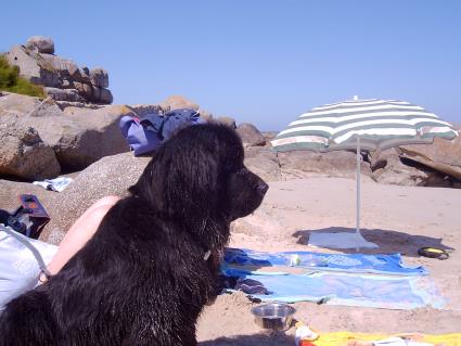 ich habe alles im Blick, mu schlielich auch im Urlaub aufpassen.