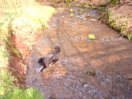 Ruft da jemand? Ich glaube auf dem Ohr bin ich taub.