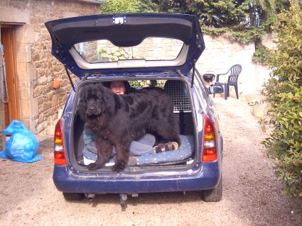 He du, das ist mein Platz. Will mal nicht so sein, darfst auch mit rein.