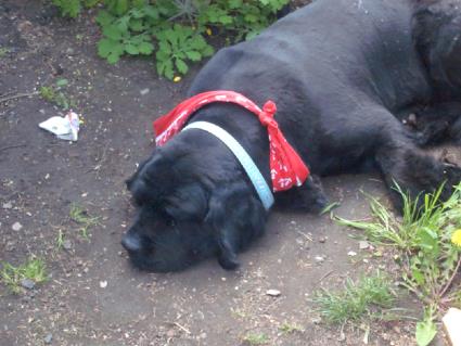 Ich penn jetzt erst mal ne Runde.