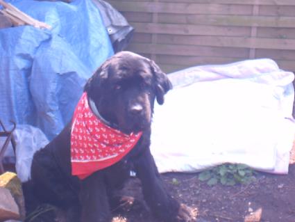 Ein so kleines Tuch verdeckt meine Nackigkeit auch nicht.