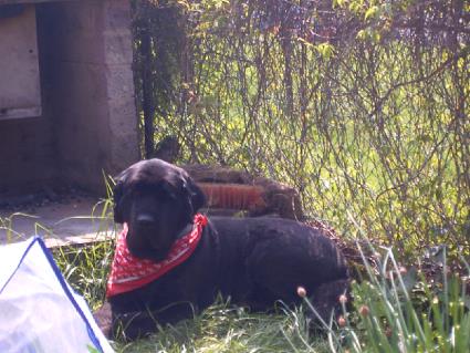 Na, so ganz als Neufi geh ich jetzt nicht mehr durch, oder?