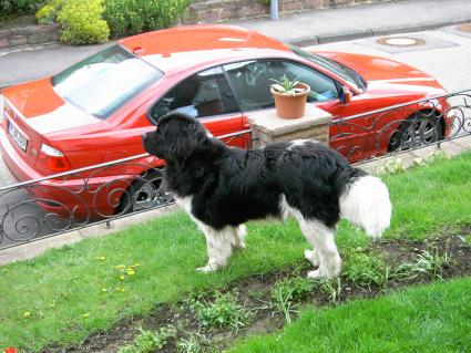 Schnell schauen, ob es etwas interessantes zu sehen gibt.