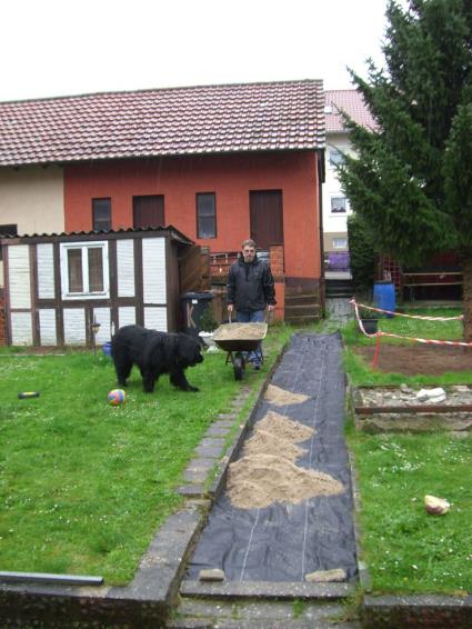 Sollte ich doch lieber Herrchen helfen?