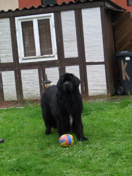 Spielt heute denn keiner mit mir?