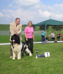 High Secret Voltaire, Bester Rde der Show