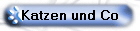 Katzen und Co