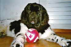 Ich trainire schon fleißig für Euro 08 Ich trainire schon fleißig für Euro 08