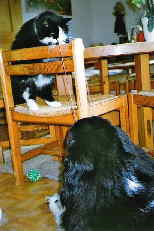 Seilspannen in der  Wohnung ist toll! Seilspannen in der  Wohnung ist toll!