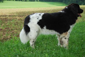 29.05.2008 234 29.05.2008 234