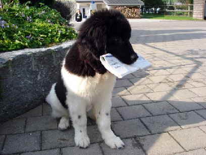 Barcley als Postbote.