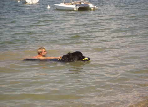 Und nu mu ich auch noch Herrchen retten!!!!