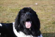 Bin ich nicht ein tolles Model? Bin ich nicht ein tolles Model?