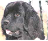 Ich genieße das Frühlingwetter. Hoffentlich wird nicht gleich zu warm? Ich genieße das Frühlingwetter. Hoffentlich wird nicht gleich zu warm?