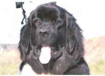 Dies ist meine Seite.