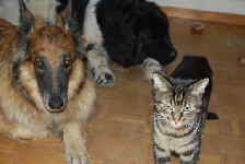 Fehlen da nicht noch einige??? Fehlen da nicht noch einige???