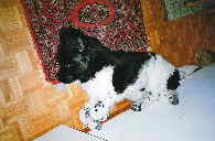 Kaja schlft auch wie Oma Mdy mit den Fen die Wand hoch.