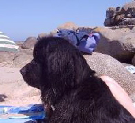 Ich erzhle euch  aus meinem Urlaub.