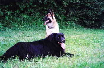 Leika mit Adoptivtochter floh 