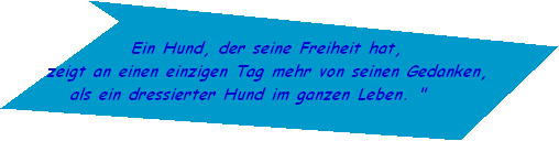 Ein Hund, der seine Freiheit hat,
      zeigt an einen einzigen Tag mehr von seinen Gedanken, 
als ein dressierter Hund im ganzen Leben. "