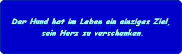 Der Hund hat im Leben ein einziges Ziel,
 sein Herz zu verschenken.