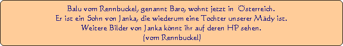 Balu vom Rennbuckel, genannt Baro, wohnt jetzt in  sterreich.
Er ist ein Sohn von Janka, die wiederum eine Tochter unserer Mdy ist.
Weitere Bilder von Janka knnt ihr auf deren HP sehen.
 (vom Rennbuckel)