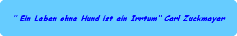 " Ein Leben ohne Hund ist ein Irrtum" Carl Zuckmayer